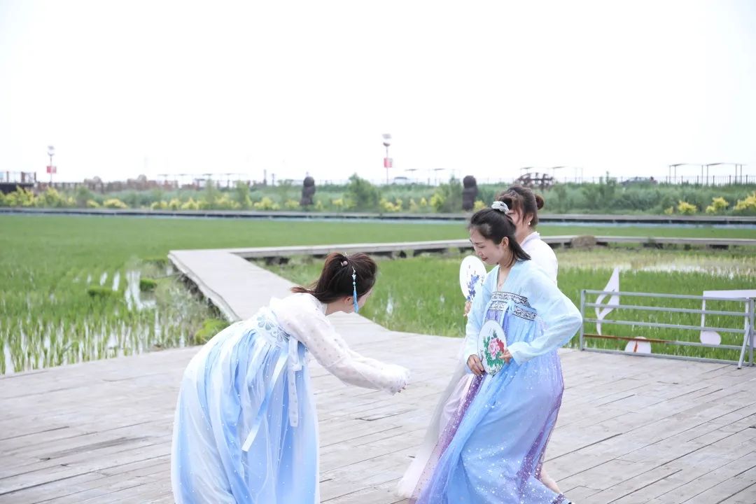 盘锦红海滩旅游攻略_盘锦有红海滩一日游_盘锦红海滩最美的地段