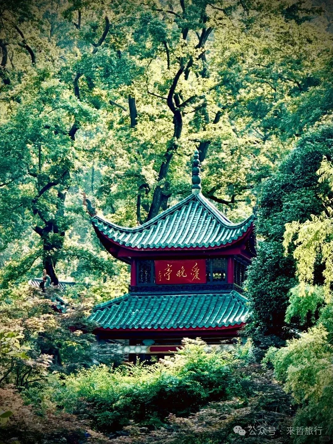 长沙至凤凰旅游攻略_长沙凤凰旅游_凤凰长沙