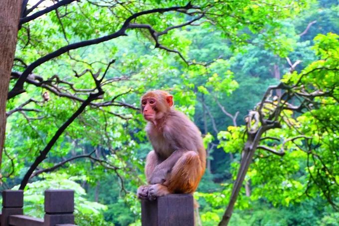 从凯里去镇远古城怎么坐车_凯里去镇远古镇怎么走_凯里到镇远旅游攻略