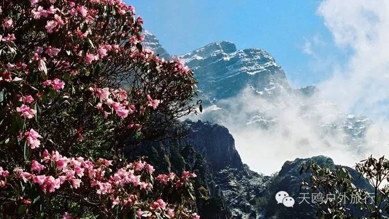 云南冬天旅游攻略_云南旅游冬天_云南冬天旅游必去的景点