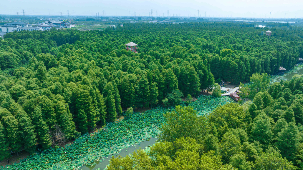 高邮湖游记_高邮湖旅游攻略_高邮湖景区