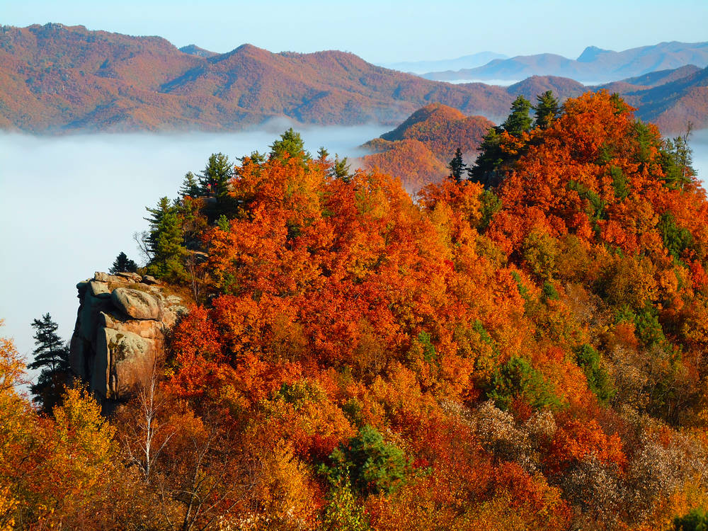 伊春 旅游攻略_伊春旅游攻略自助游_伊春旅游攻略自由行