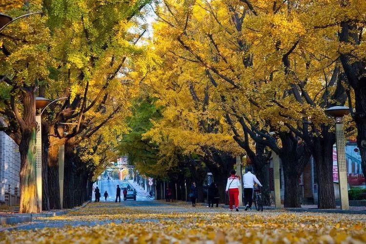 自驾辽宁攻略旅游游玩_辽宁自驾游线路_辽宁旅游自驾游攻略