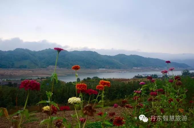 宽甸绿江村旅游攻略_宽甸绿江村旅游景区_宽甸绿江村自驾游攻略