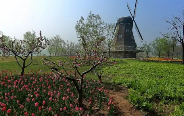 度假村落_辉煌度假村 旅游攻略_旅行度假村