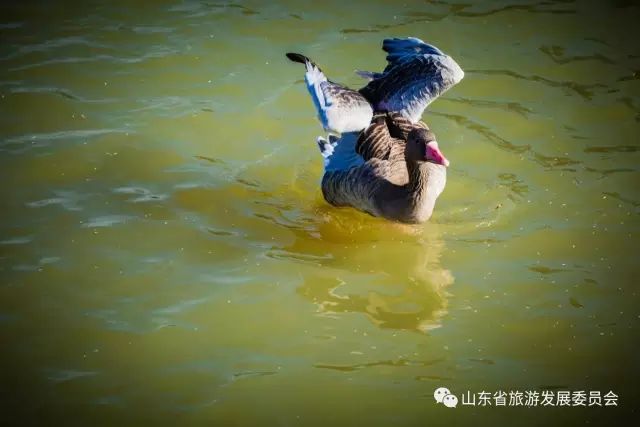 度假村落_旅行度假村_辉煌度假村 旅游攻略