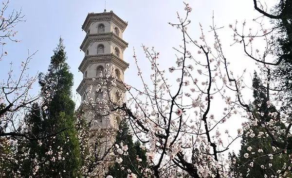 度假村落_辉煌度假村 旅游攻略_旅行度假村