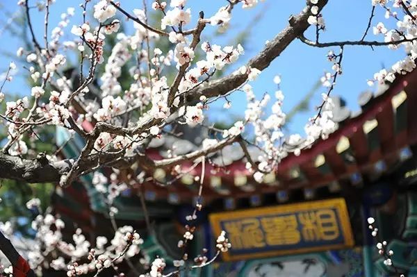 度假村落_旅行度假村_辉煌度假村 旅游攻略