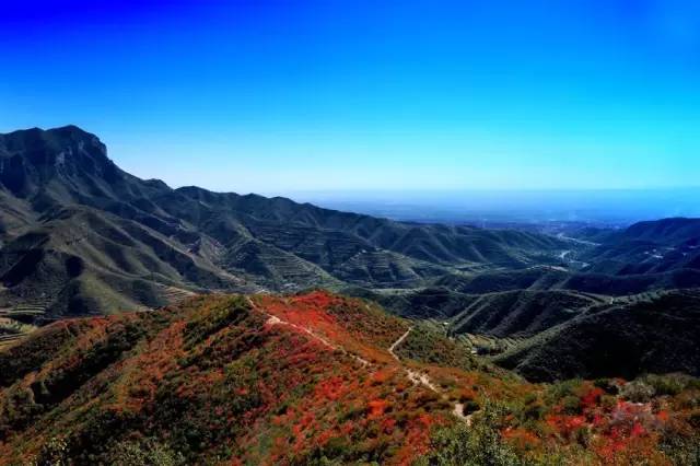 王莽岭山顶住宿_王莽岭自驾游_王莽岭旅游攻略
