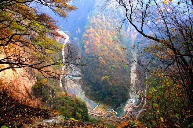 王莽岭自驾游_王莽岭旅游攻略_王莽岭山顶住宿