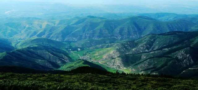 王莽岭旅游攻略_王莽岭山顶住宿_王莽岭自驾游