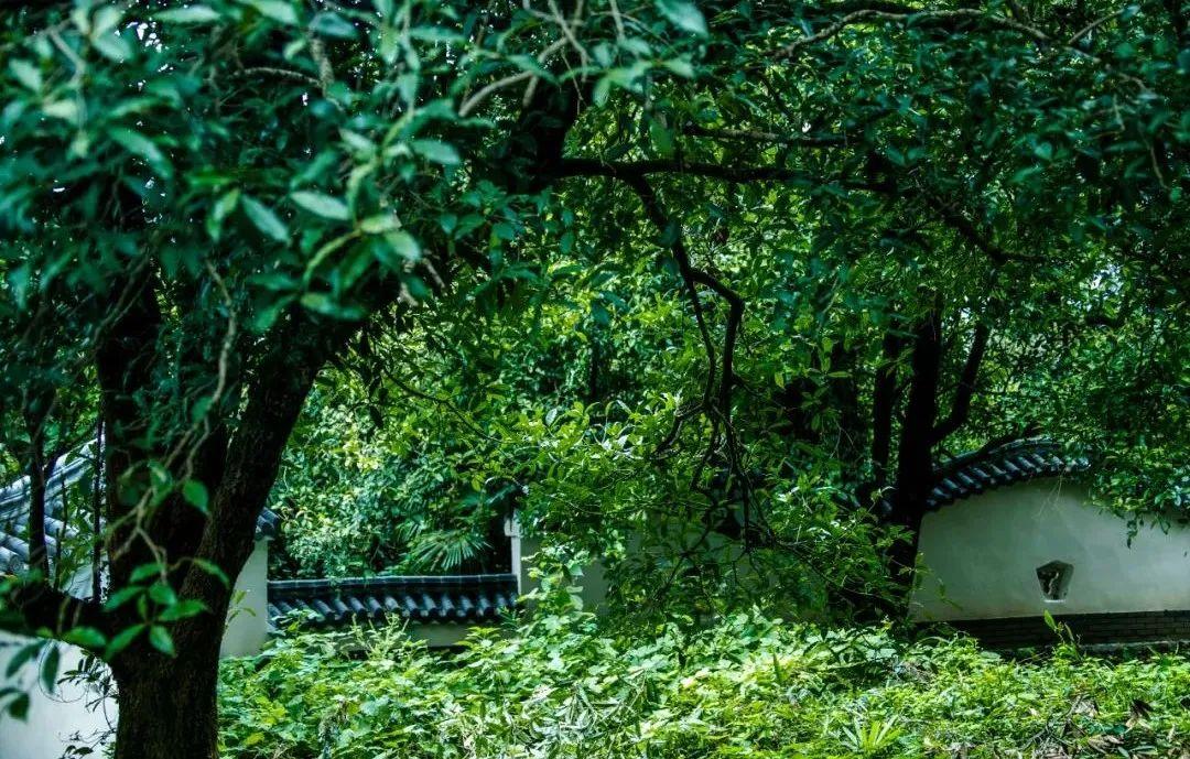 九宫山图_九宫山山上住宿哪家好_九宫山旅游攻略住宿