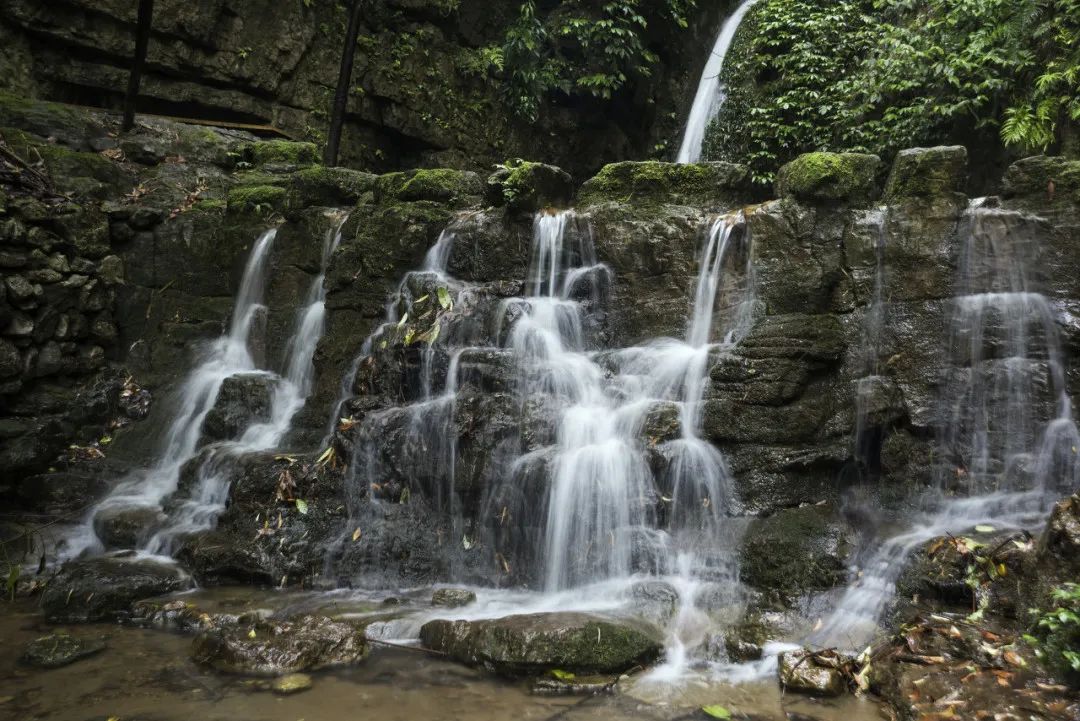 重庆四面山旅游攻略_攻略重庆旅游四面山景区_重庆四面山旅游攻略一日游