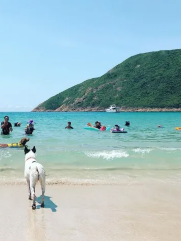 香港旅游攻略网出国游线路_香港游旅游攻略_游玩香港全攻略