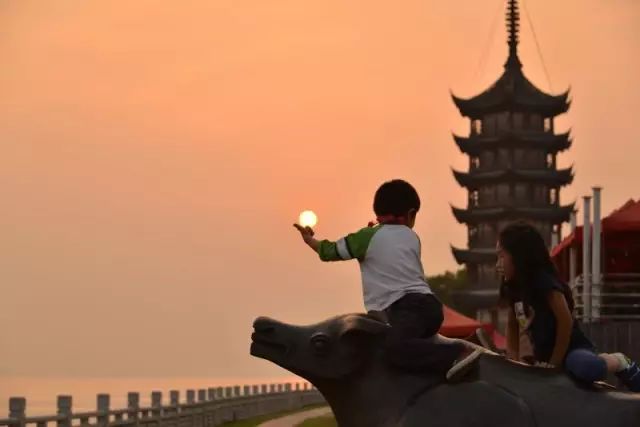 蛇蟠岛旅游攻略_蛇蟠岛旅行社_蛇蟠岛上吃饭