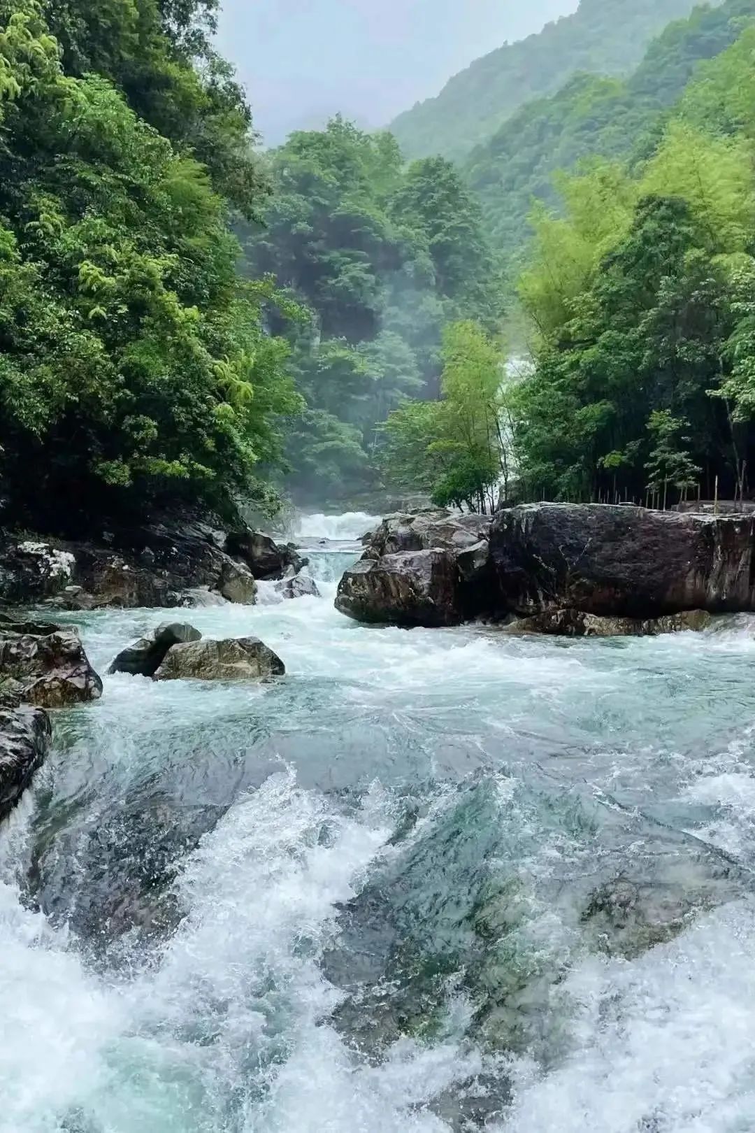 蛇蟠岛上吃饭_蛇蟠岛旅游攻略_蛇蟠岛怎么走
