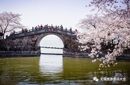 太湖鼋头渚风景区_太湖鼋头渚怎么玩_太湖鼋头渚旅游攻略