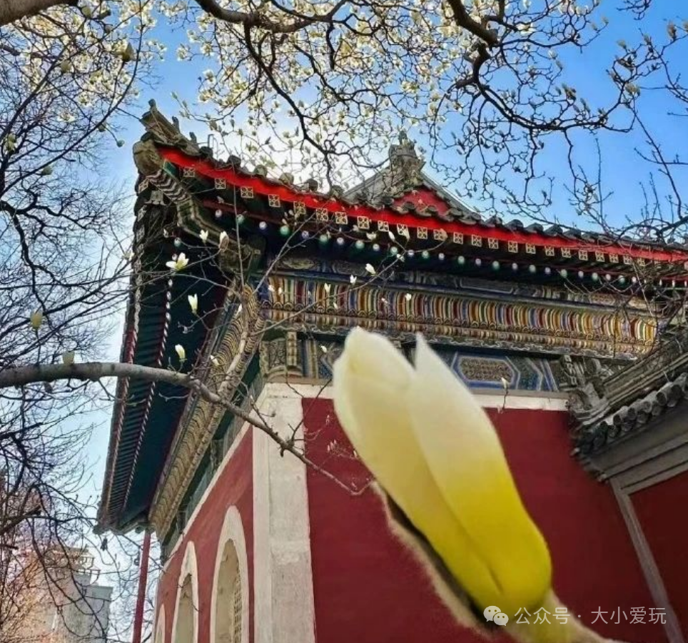 东四胡同旅游攻略_东四胡同旅游攻略_东四胡同旅游攻略