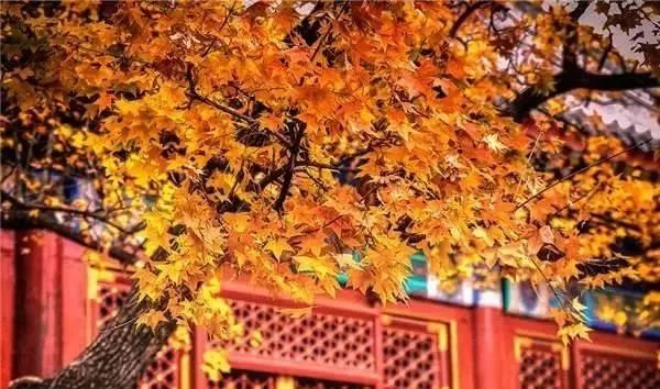 东四胡同旅游攻略_东四胡同旅游攻略_东四胡同旅游攻略