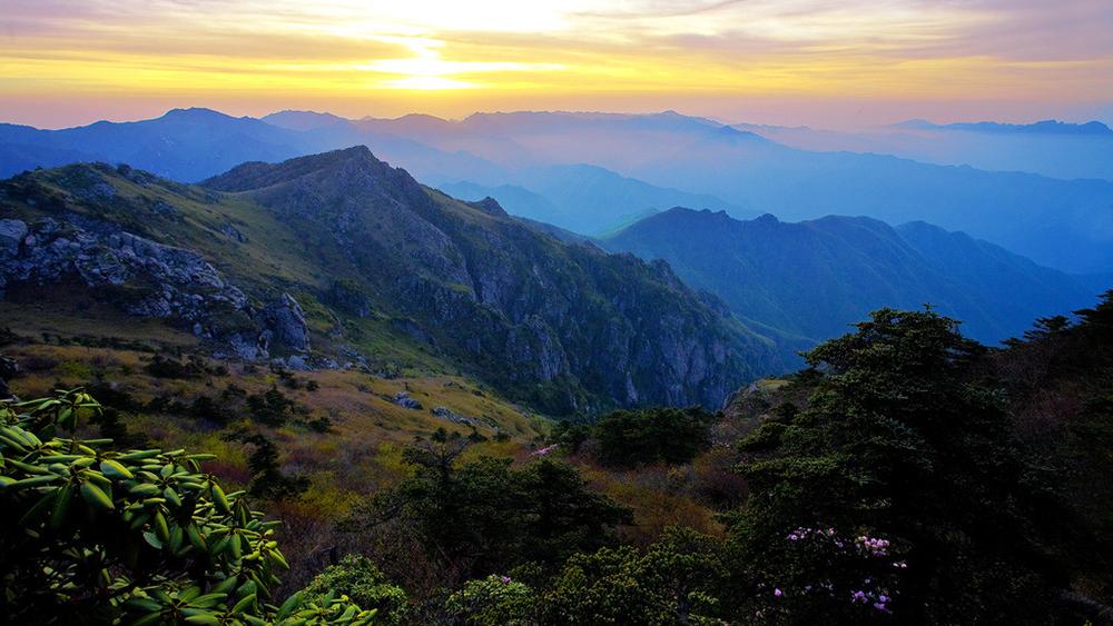 牛背梁门票多少钱_牛背梁旅游攻略_牛背梁两日游