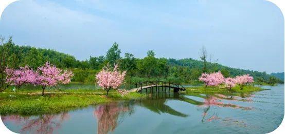 常德桃花源旅游攻略_常德桃花源游玩攻略_湖南常德桃花源旅游攻略