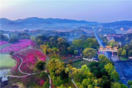 常德桃花源旅游攻略-常德桃花源景点介绍