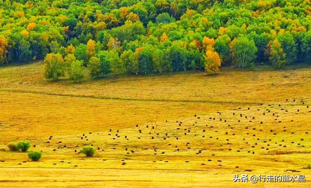 乌兰布统草原旅游注意什么_乌兰布统草原旅游攻略_乌兰布统大草原攻略