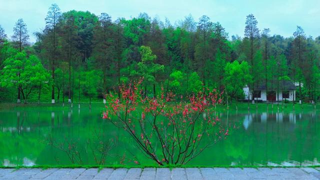 湖南常德桃花源美篇_常德桃花源旅游攻略_湖南常德桃花源旅游攻略