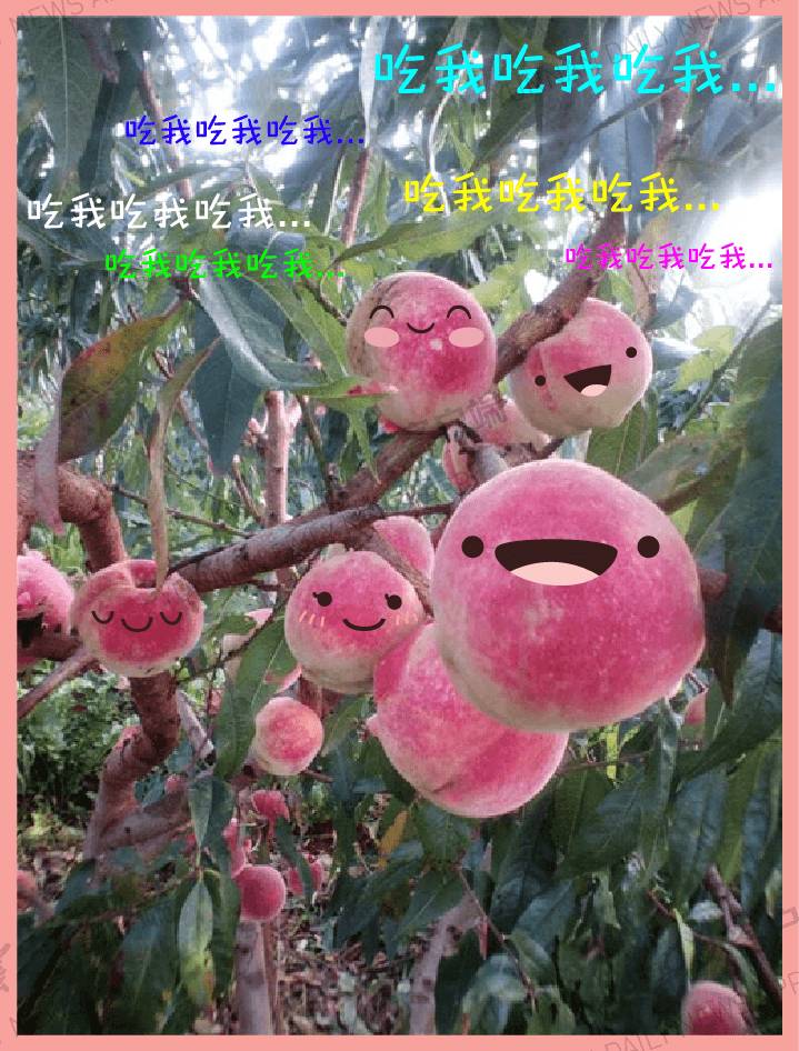 昆明冬季旅游攻略_昆明冬季旅游最佳去处_昆明冬天旅游攻略