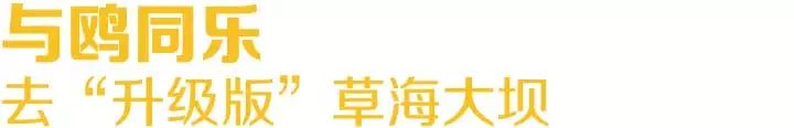 昆明冬季旅游最佳去处_昆明冬天旅游攻略_昆明冬季旅游攻略