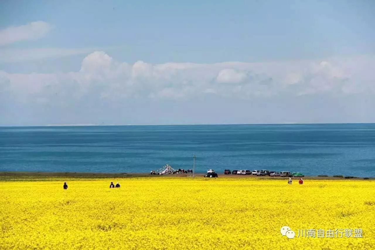 青海湖沙岛旅游攻略_青海岛攻略湖沙旅游路线_青海湖沙岛景区