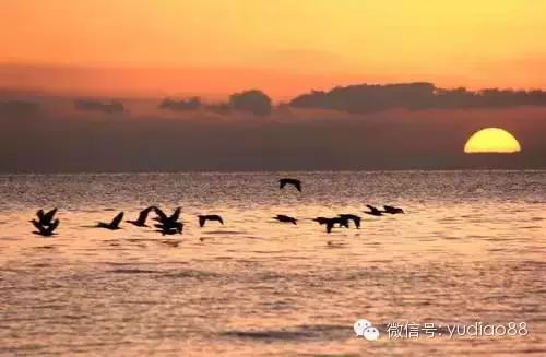 青海湖沙岛旅游攻略_青海岛攻略湖沙旅游景点_青海岛攻略湖沙旅游路线