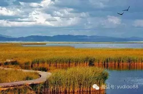 青海湖沙岛旅游攻略_青海岛攻略湖沙旅游路线_青海岛攻略湖沙旅游景点