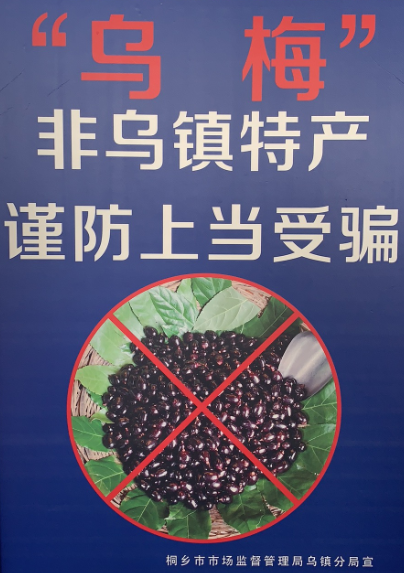上海乌镇在哪_上海乌镇有什么好玩的景点_上海乌镇旅游攻略