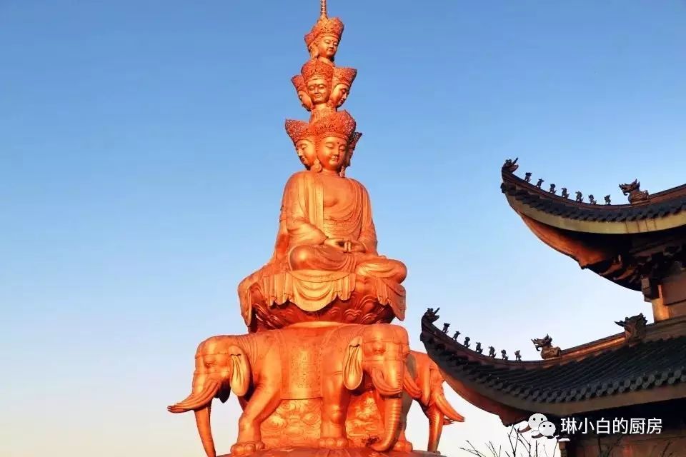 自贡去峨眉山旅游攻略_自贡峨眉山有多远_自贡到峨眉山旅游攻略