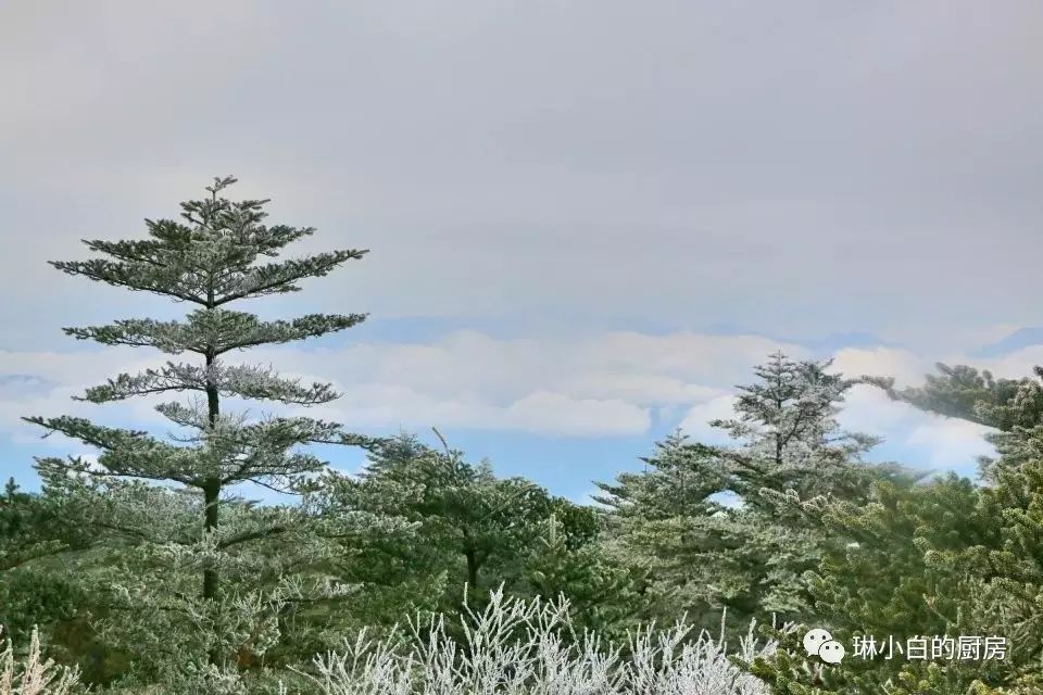 自贡去峨眉山旅游攻略_自贡峨眉山有多远_自贡到峨眉山旅游攻略