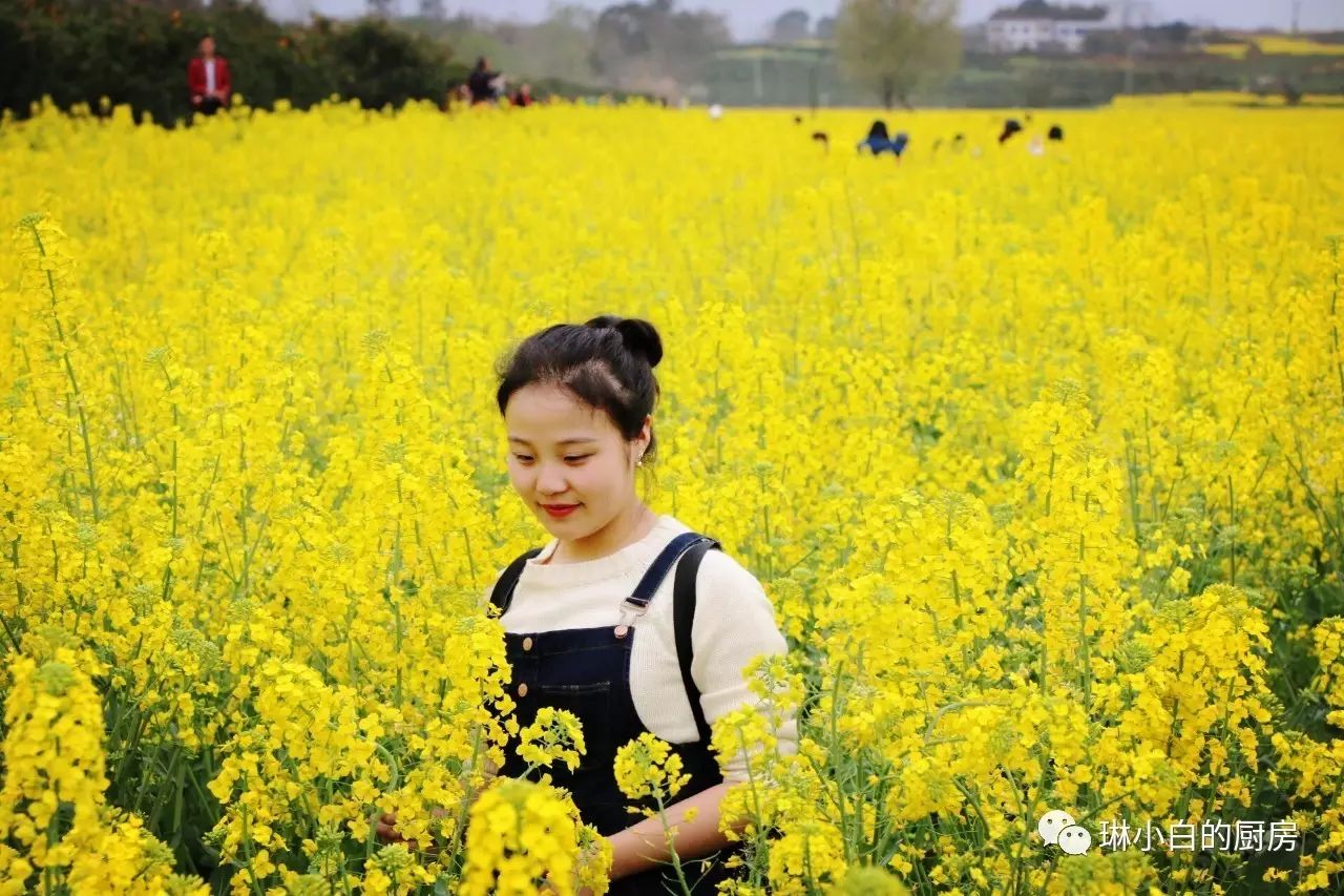自贡去峨眉山旅游攻略_自贡峨眉山有多远_自贡到峨眉山旅游攻略
