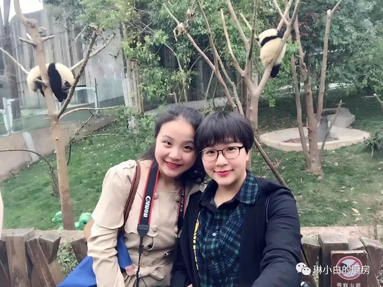 自贡峨眉山有多远_自贡到峨眉山旅游攻略_自贡去峨眉山旅游攻略