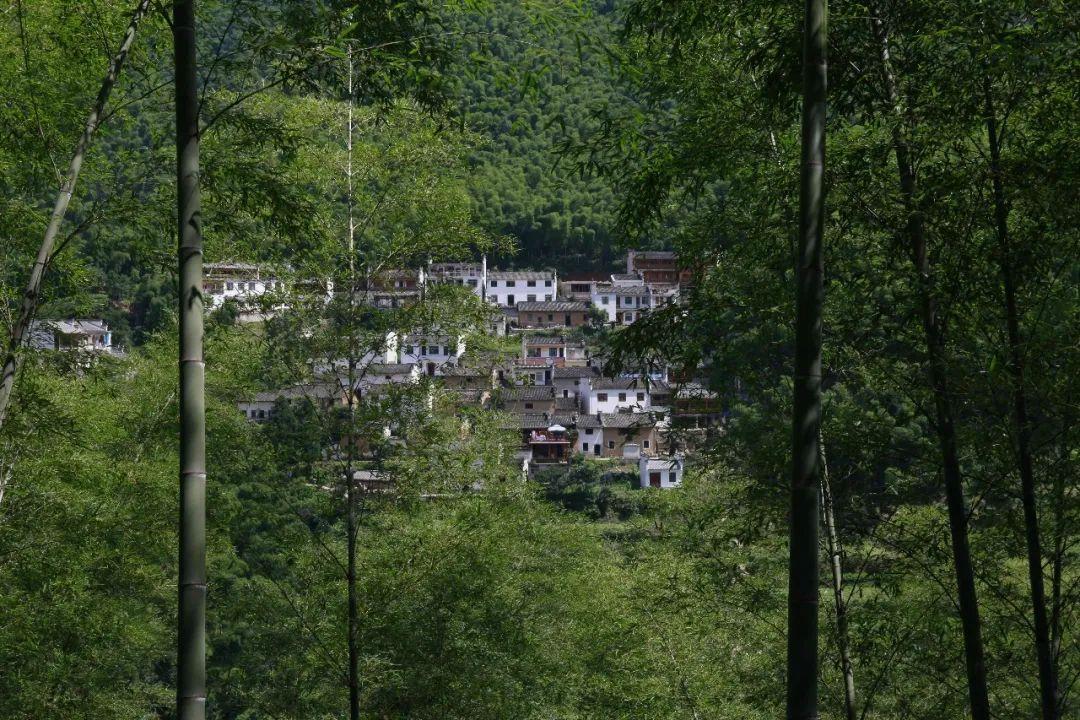 安徽渔梁坝旅游攻略_新安江渔梁坝_安徽水坝