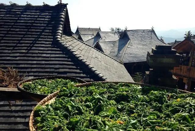 普洱思茅哪里好玩_普洱思茅网红打卡地_云南普洱思茅旅游攻略