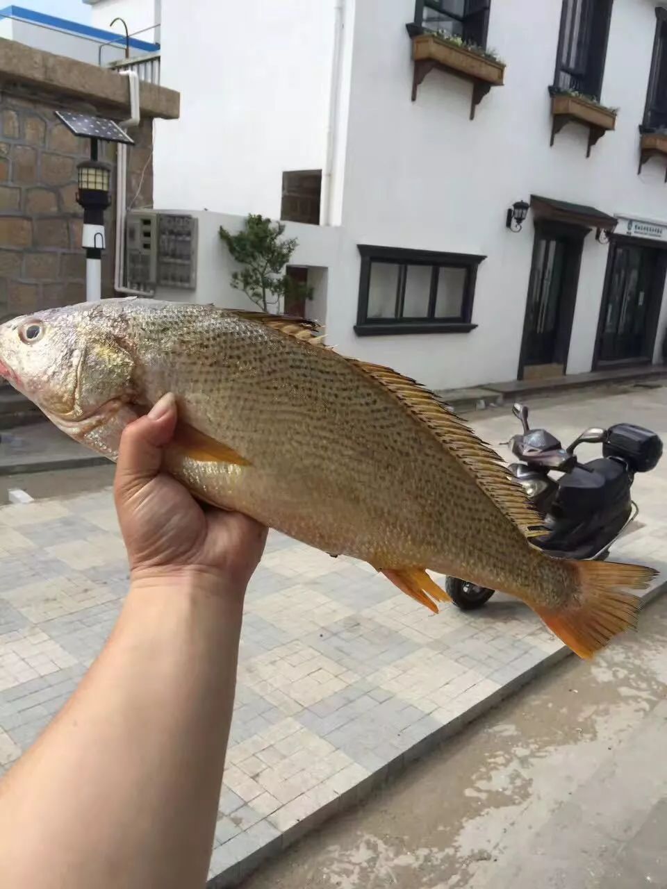 杭州到嵊泗二日游_杭州到嵊泗旅游团_杭州到嵊泗旅游攻略