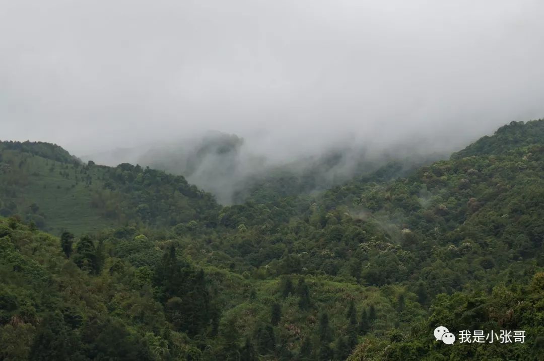 云水谣景区有什么好吃的_云水谣旅游攻略_云水谣旅行攻略