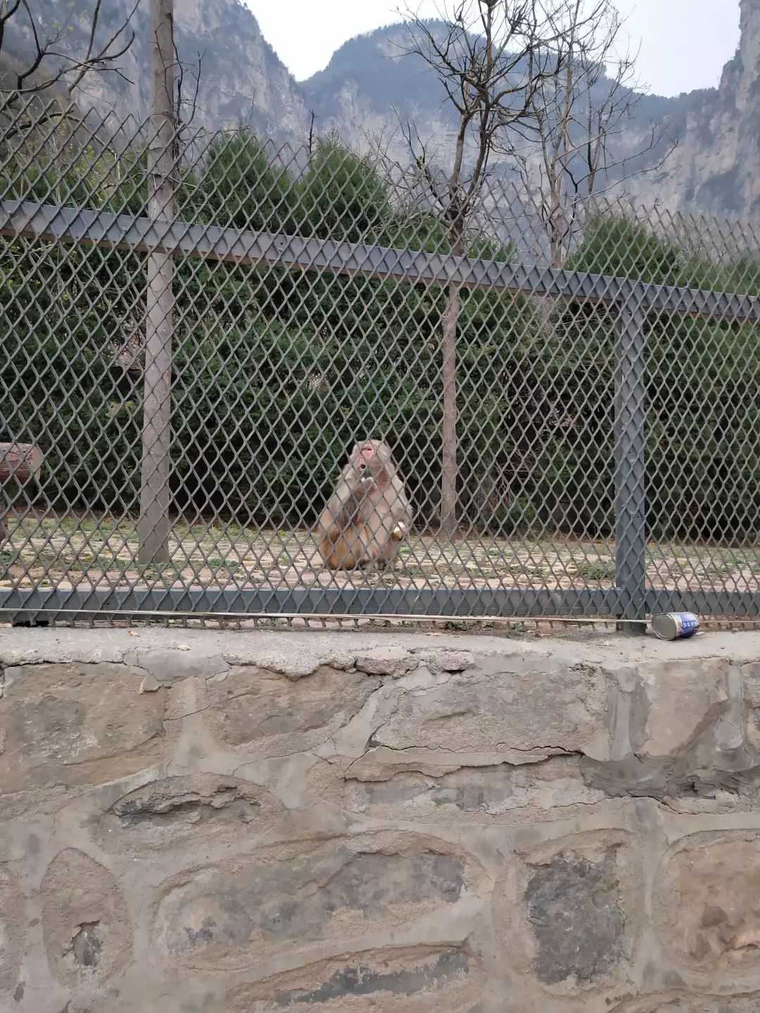 云台山自助游攻略 云台山旅游_云台山自由行攻略_云台山攻略自驾一日游