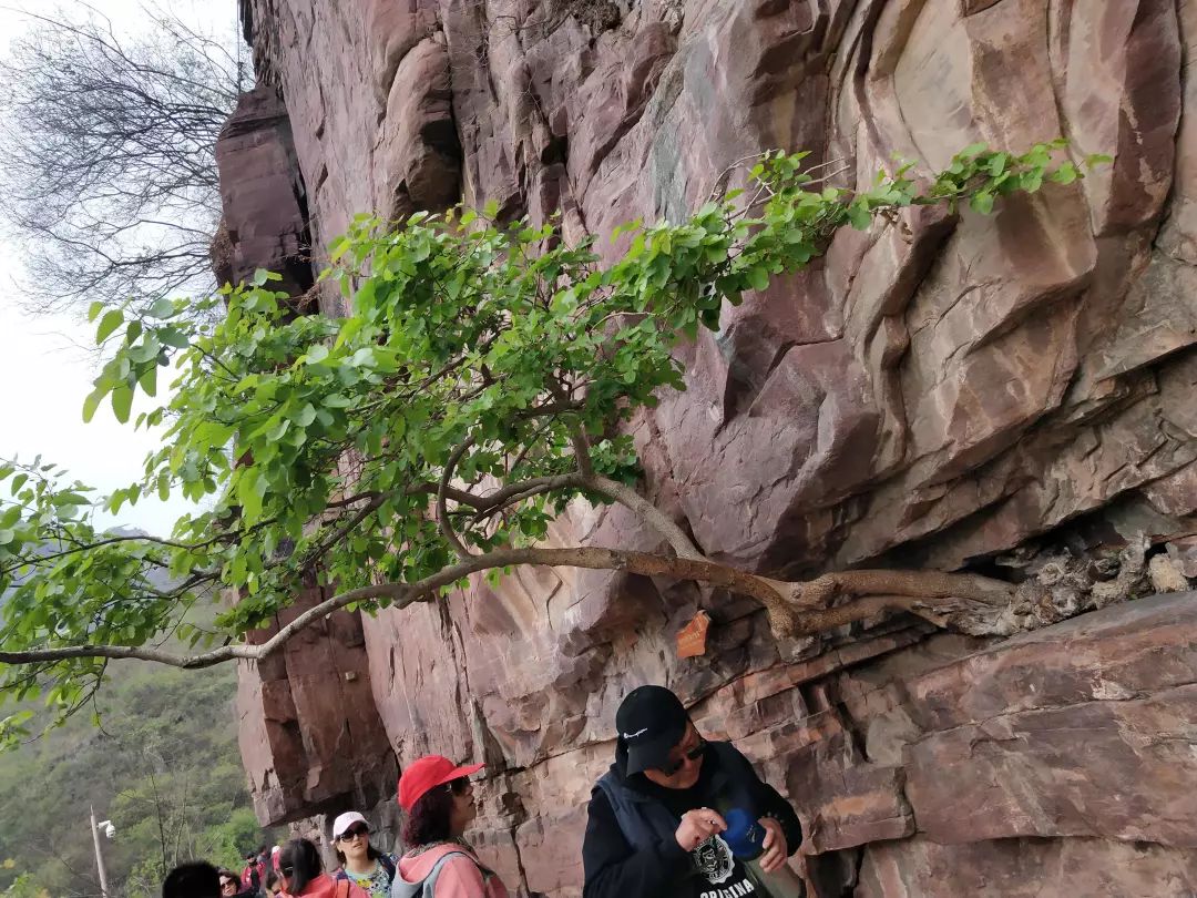 云台山攻略自驾一日游_云台山自由行攻略_云台山自助游攻略 云台山旅游