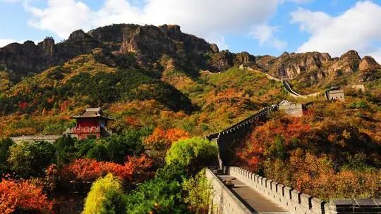 天津大道好开吗_天津第五大道旅游攻略_天津大道全程多少公里