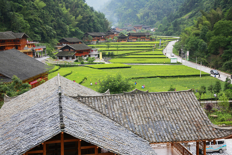 恩施坪坝营旅游攻略_湖北恩施坪坝营景区概况_恩施坪坝营视频