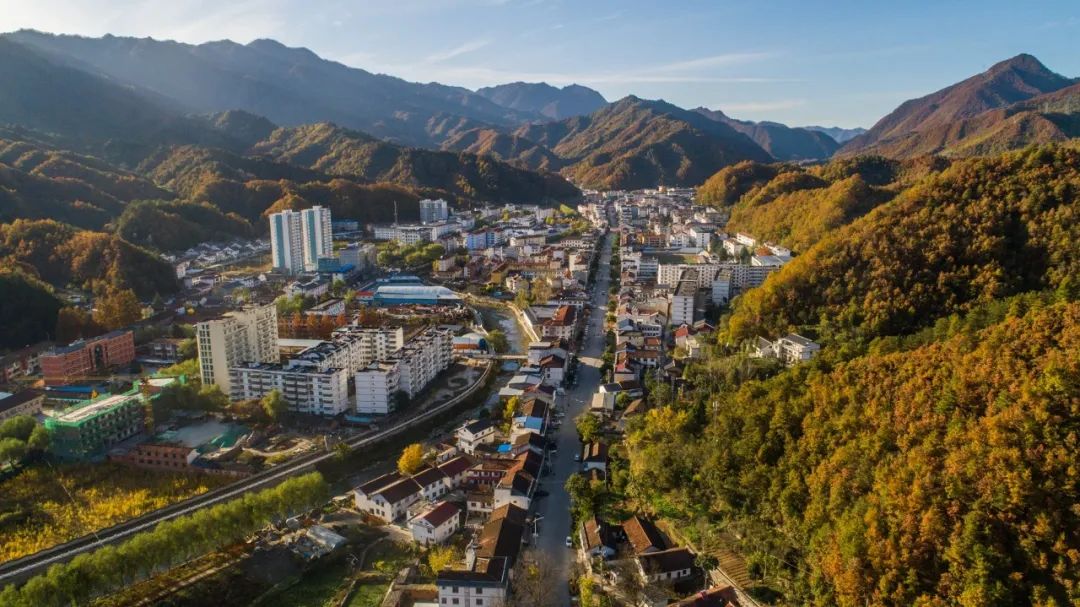 留坝紫柏山旅游攻略_留坝紫柏山国家森林公园旅游_留坝紫柏山森林公园电话