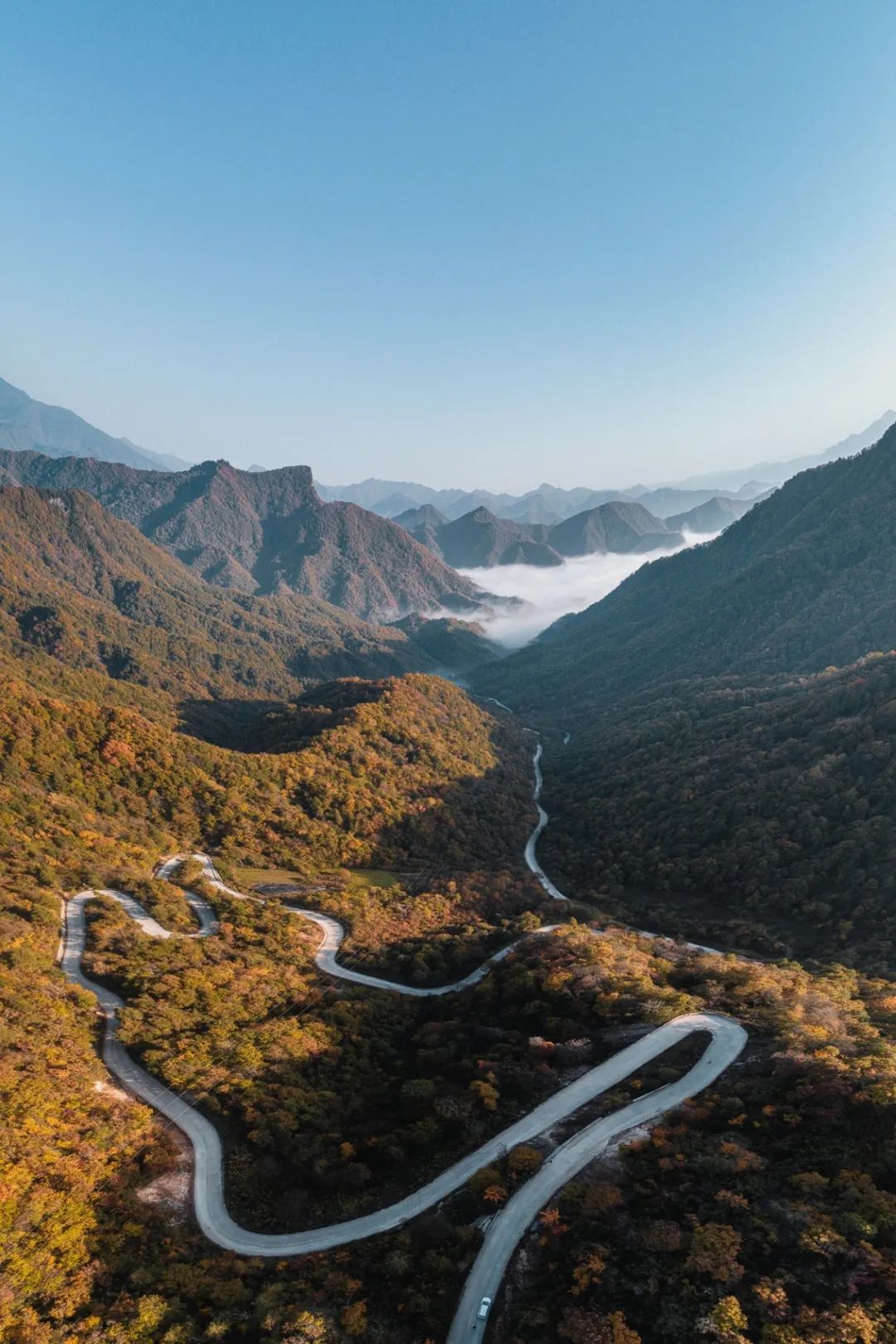 留坝紫柏山旅游攻略_留坝紫柏山森林公园电话_留坝紫柏山国家森林公园旅游