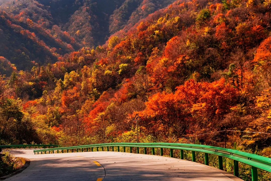 留坝紫柏山森林公园电话_留坝紫柏山国家森林公园旅游_留坝紫柏山旅游攻略
