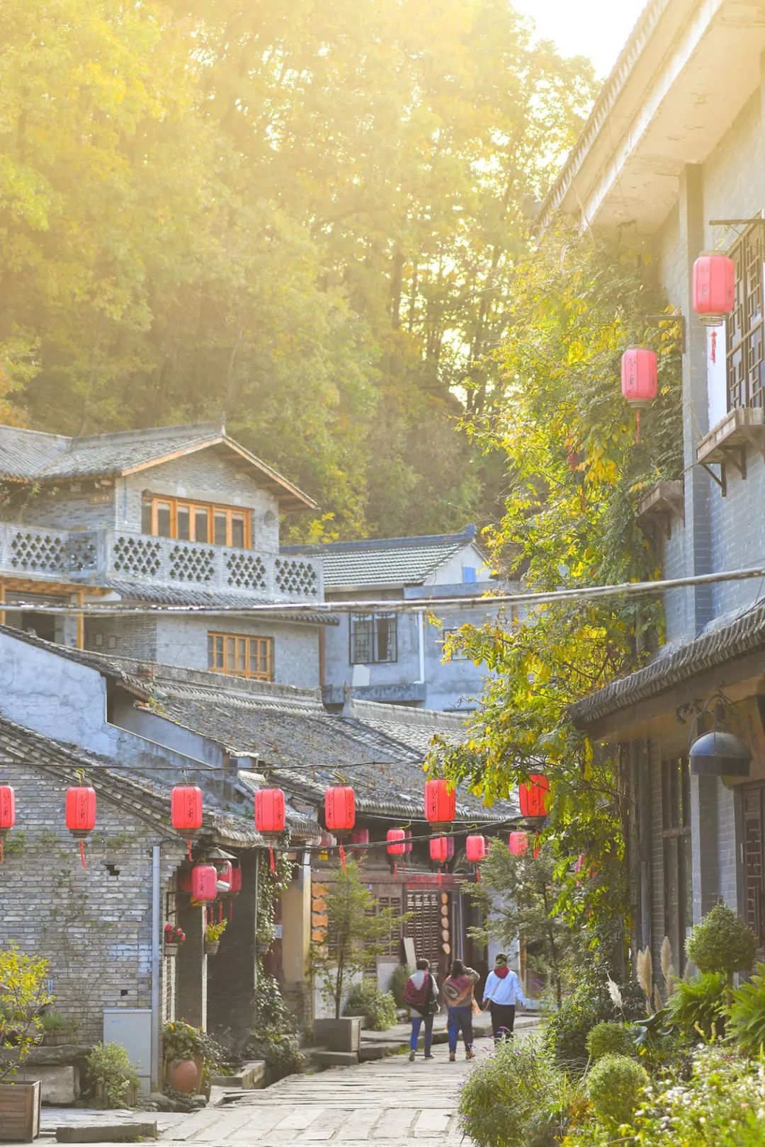 留坝紫柏山旅游攻略_留坝紫柏山国家森林公园旅游_留坝紫柏山森林公园电话